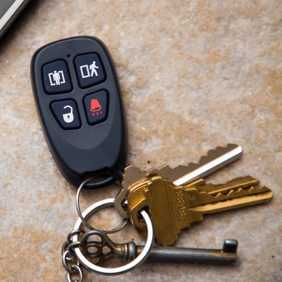 Saginaw security panic button